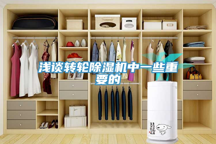 浅谈转轮小黄片直播视频中一些重要的