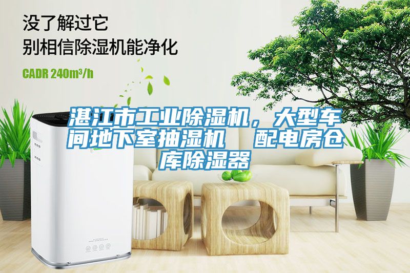 湛江市工业小黄片直播视频，大型车间地下室抽湿机  配电房仓库除湿器