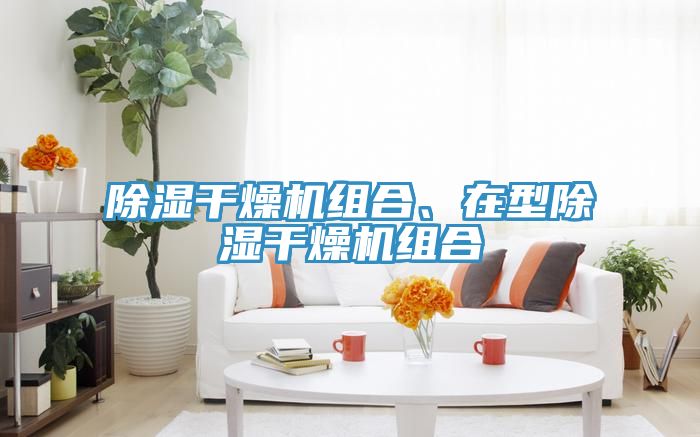 除湿干燥机组合、在型除湿干燥机组合