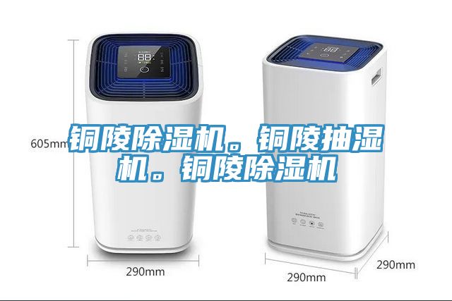 铜陵小黄片直播视频。铜陵抽湿机。铜陵小黄片直播视频
