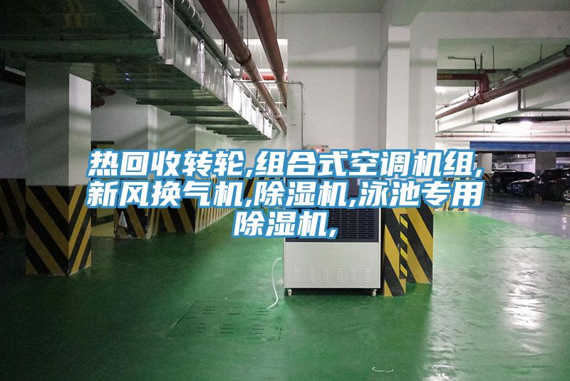 热回收转轮,组合式空调机组,新风换气机,小黄片直播视频,泳池专用小黄片直播视频,