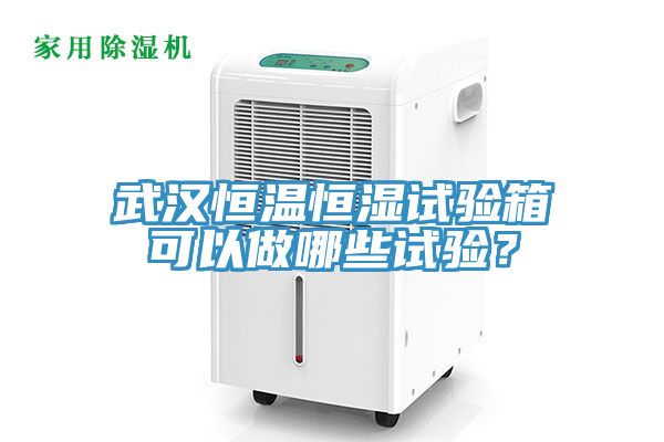武汉恒温恒湿试验箱可以做哪些试验？