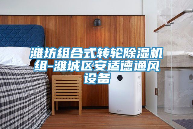 潍坊组合式转轮小黄片直播视频组-潍城区安适德通风设备