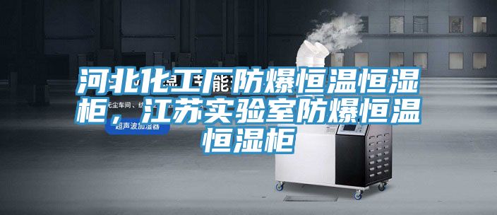 河北化工厂防爆恒温恒湿柜，江苏实验室防爆恒温恒湿柜