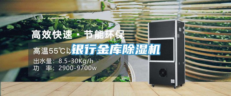 银行金库小黄片直播视频