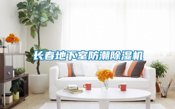 长春地下室防潮小黄片直播视频
