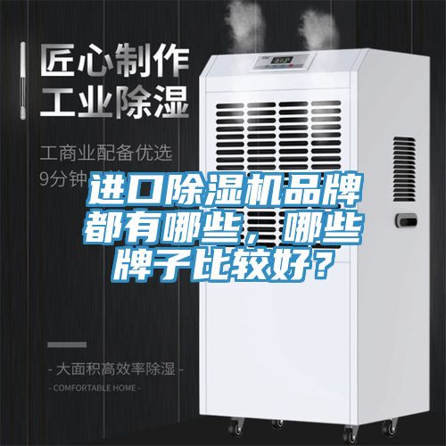 进口小黄片直播视频品牌都有哪些，哪些牌子比较好？