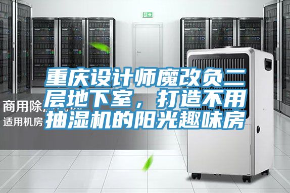 重庆设计师魔改负二层地下室，打造不用抽湿机的阳光趣味房