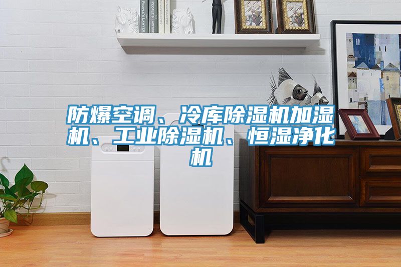 防爆空调、冷库小黄片直播视频加湿机、工业小黄片直播视频、恒湿净化机