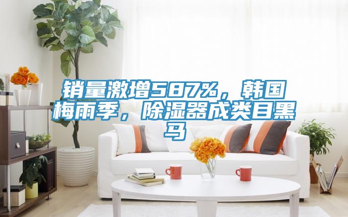 销量激增587%，韩国梅雨季，除湿器成类目黑马