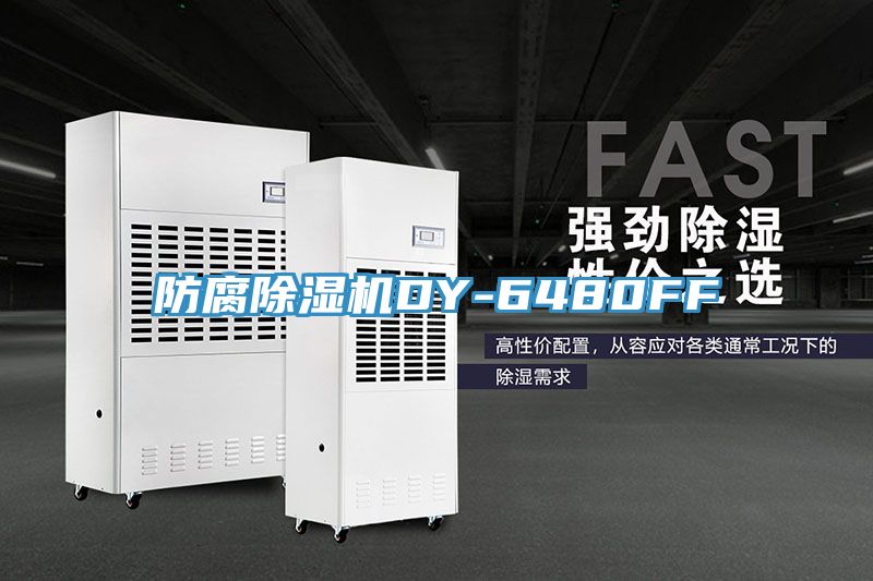 防腐小黄片直播视频DY-6480FF