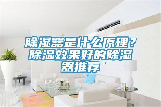 除湿器是什么原理？除湿效果好的除湿器推荐