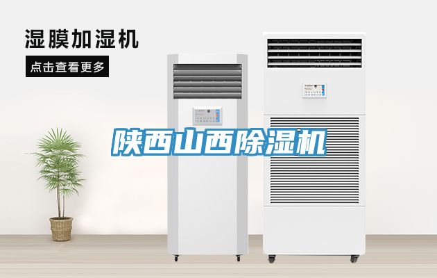 陕西山西小黄片直播视频
