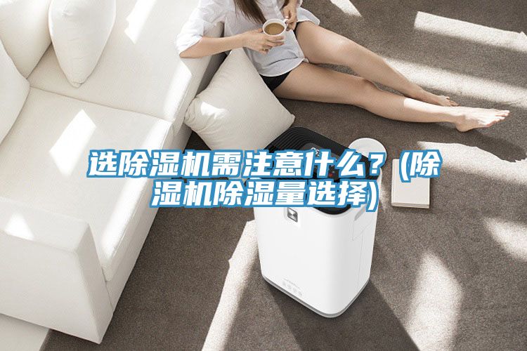 选小黄片直播视频需注意什么？(小黄片直播视频除湿量选择)
