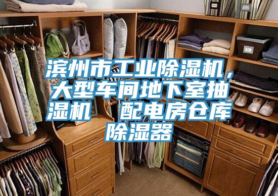 滨州市工业小黄片直播视频，大型车间地下室抽湿机  配电房仓库除湿器