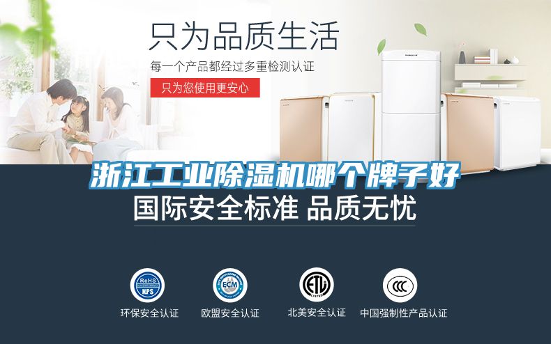 浙江工业小黄片直播视频哪个牌子好