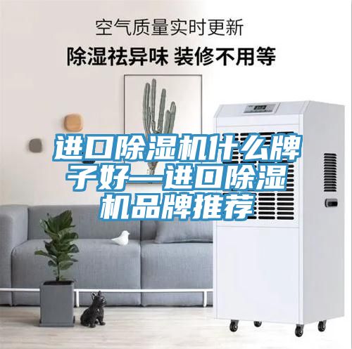 进口小黄片直播视频什么牌子好—进口小黄片直播视频品牌推荐