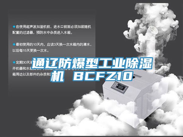 通辽防爆型工业小黄片直播视频 BCFZ10