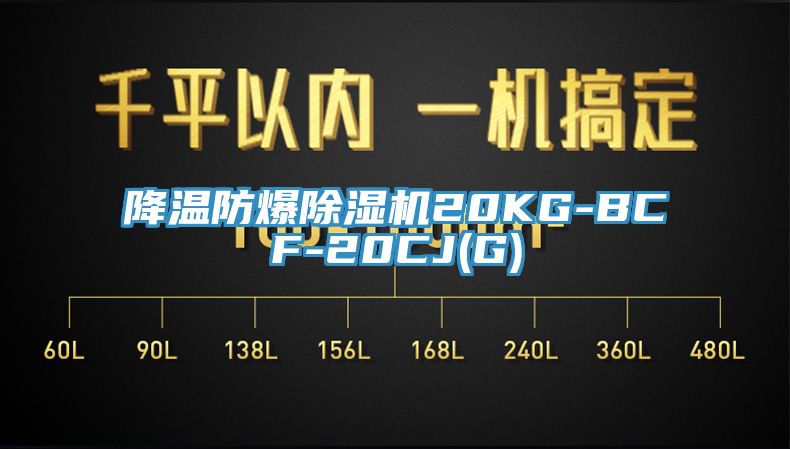 降温防爆小黄片直播视频20KG-BCF-20CJ(G)