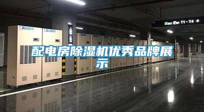 配电房小黄片直播视频优秀品牌展示