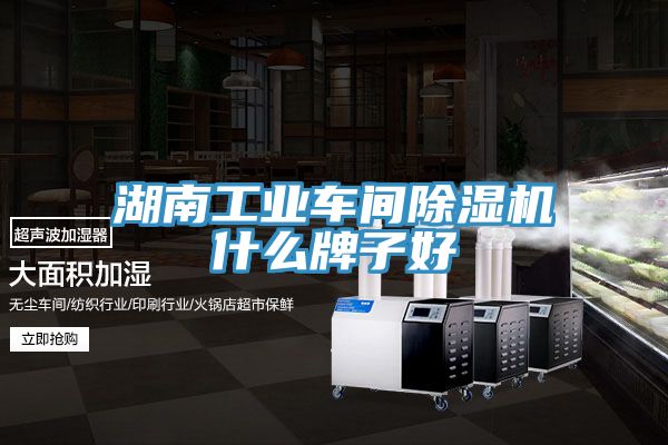 湖南工业车间小黄片直播视频什么牌子好