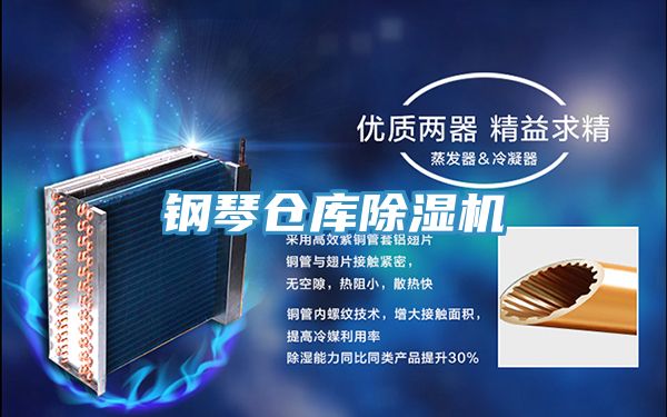 钢琴仓库小黄片直播视频