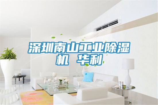 深圳南山工业小黄片直播视频 华利