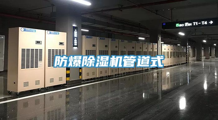 防爆小黄片直播视频管道式