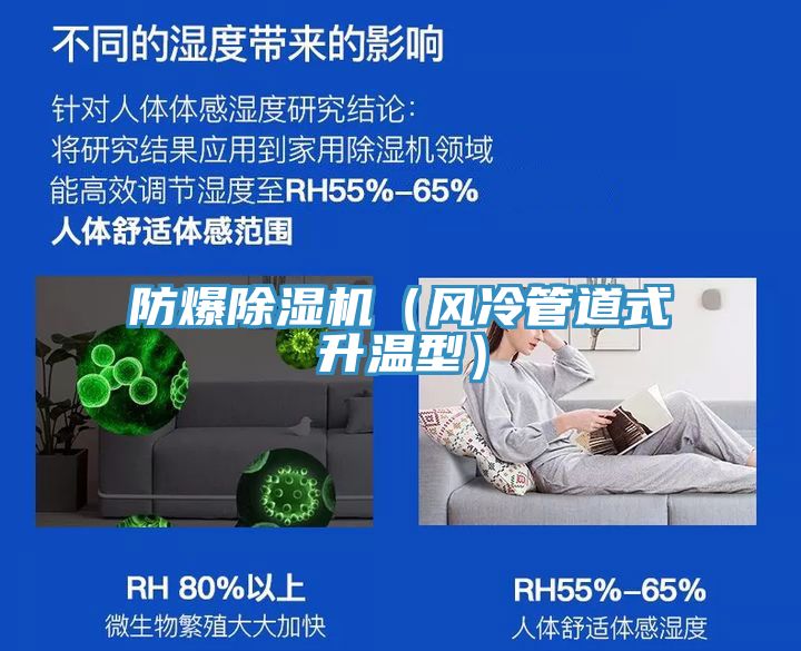 防爆小黄片直播视频（风冷管道式升温型）