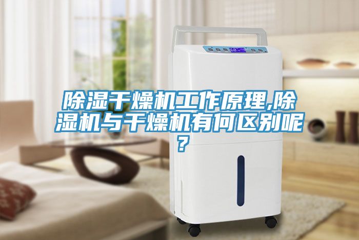 除湿干燥机工作原理,小黄片直播视频与干燥机有何区别呢？