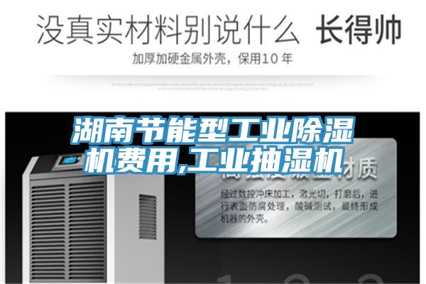 湖南节能型工业小黄片直播视频费用,工业抽湿机