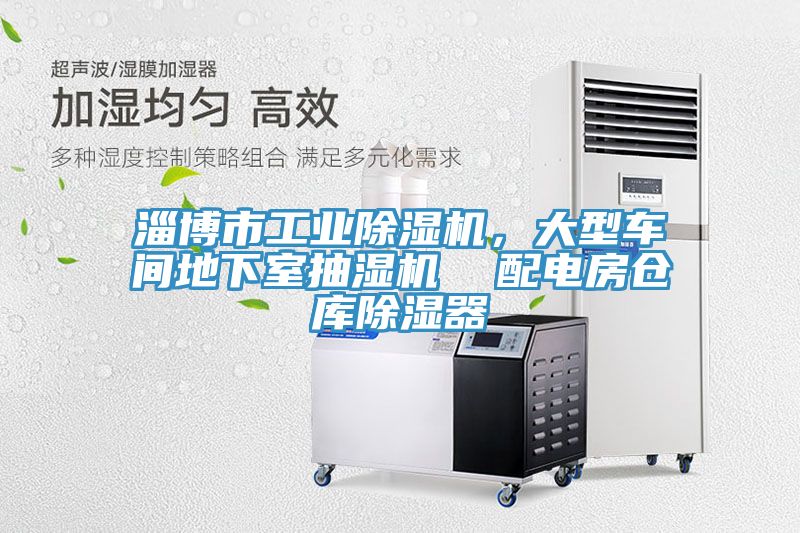 淄博市工业小黄片直播视频，大型车间地下室抽湿机  配电房仓库除湿器