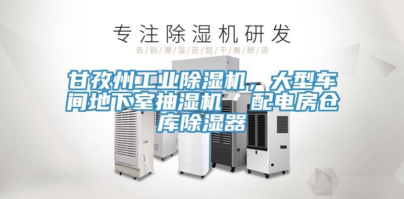 甘孜州工业小黄片直播视频，大型车间地下室抽湿机  配电房仓库除湿器