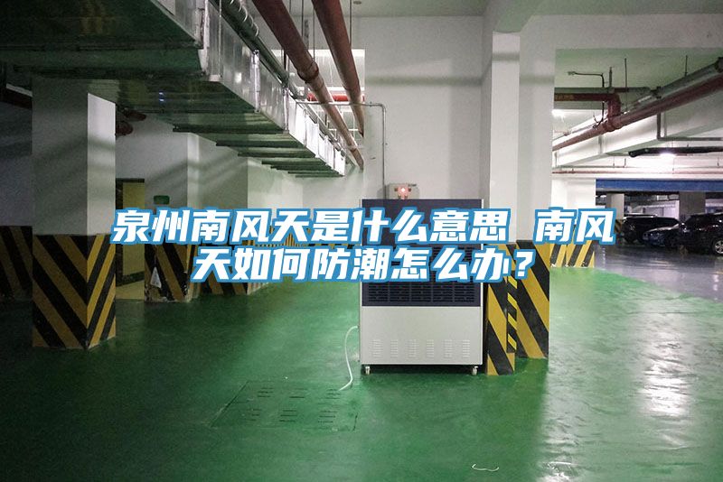 泉州南风天是什么意思 南风天如何防潮怎么办？
