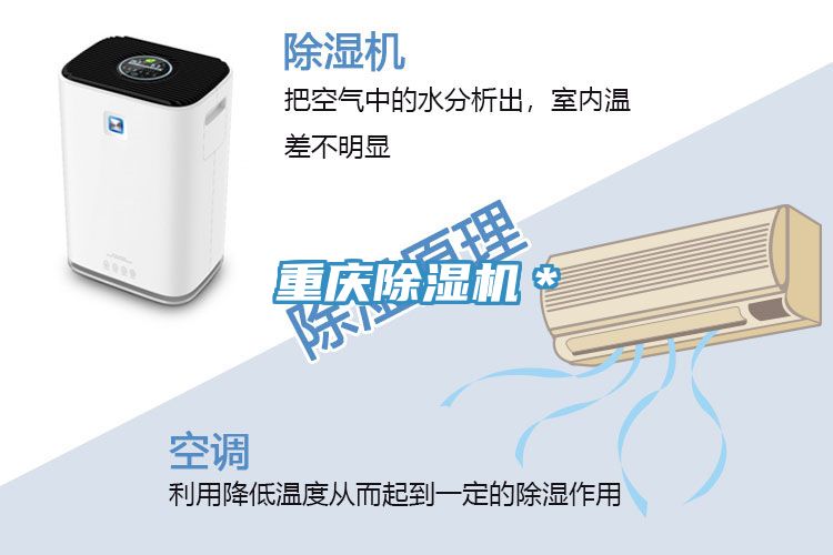 重庆小黄片直播视频＊