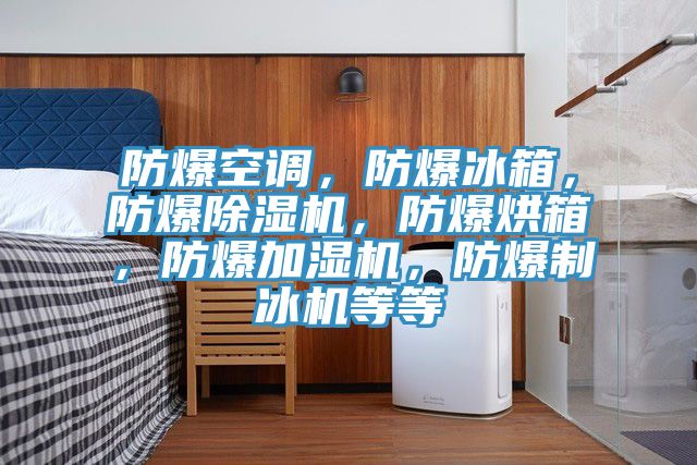 防爆空调，防爆冰箱，防爆小黄片直播视频，防爆烘箱，防爆加湿机，防爆制冰机等等