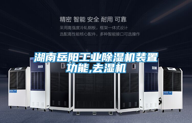 湖南岳阳工业小黄片直播视频装置功能,去湿机