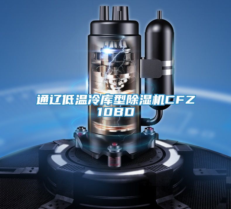 通辽低温冷库型小黄片直播视频CFZ10BD