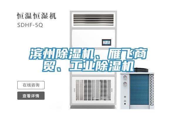 滨州小黄片直播视频、雁飞商贸、工业小黄片直播视频