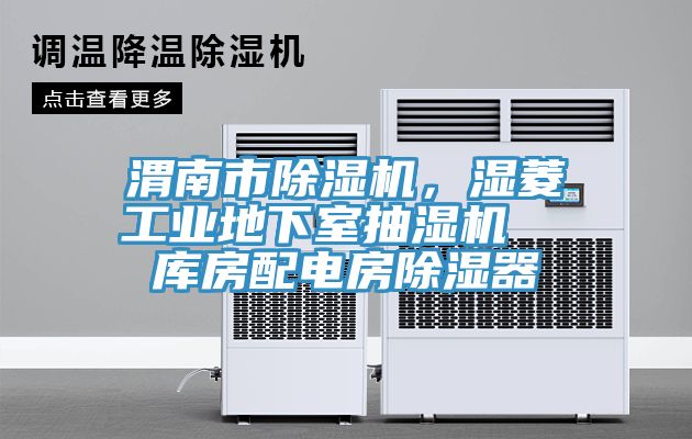 渭南市小黄片直播视频，湿菱工业地下室抽湿机  库房配电房除湿器