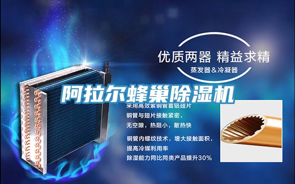 阿拉尔蜂巢小黄片直播视频