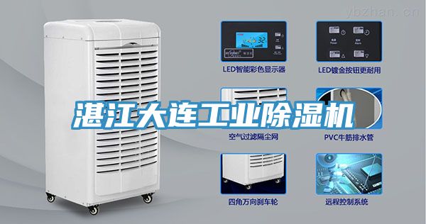 湛江大连工业小黄片直播视频