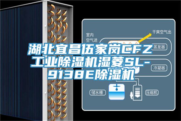 湖北宜昌伍家岗CFZ工业小黄片直播视频湿菱SL-9138E小黄片直播视频