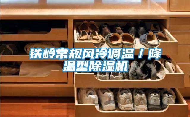 铁岭常规风冷调温／降温型小黄片直播视频