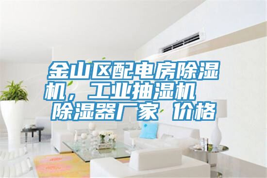 金山区配电房小黄片直播视频，工业抽湿机  除湿器厂家 价格