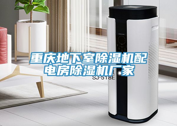 重庆地下室小黄片直播视频配电房小黄片直播视频厂家