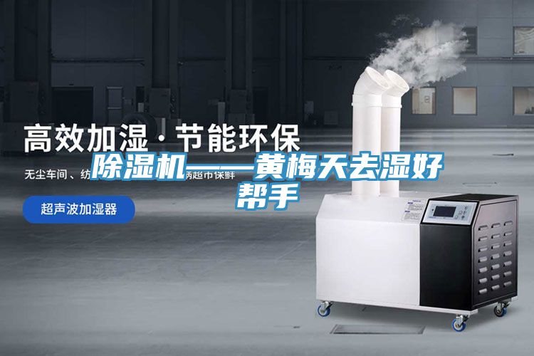 小黄片直播视频——黄梅天去湿好帮手
