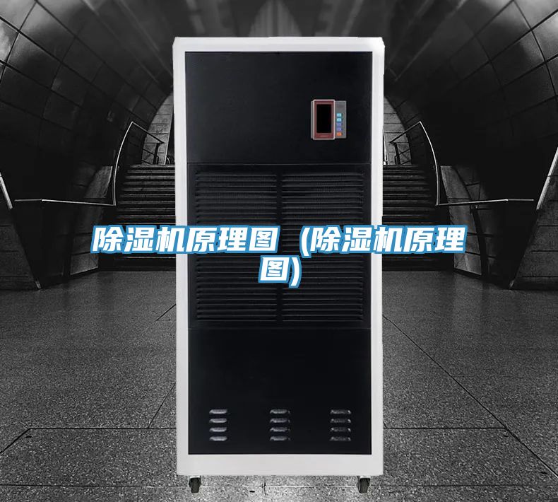 小黄片直播视频原理图 (小黄片直播视频原理图)