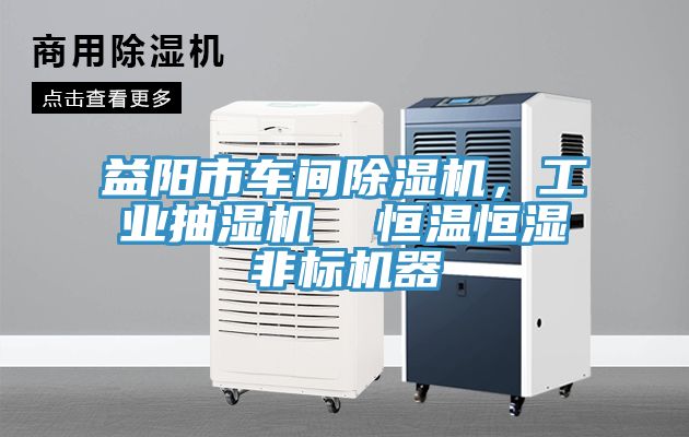 益阳市车间小黄片直播视频，工业抽湿机  恒温恒湿非标机器