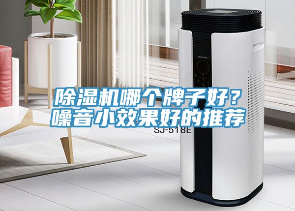 小黄片直播视频哪个牌子好？噪音小效果好的推荐